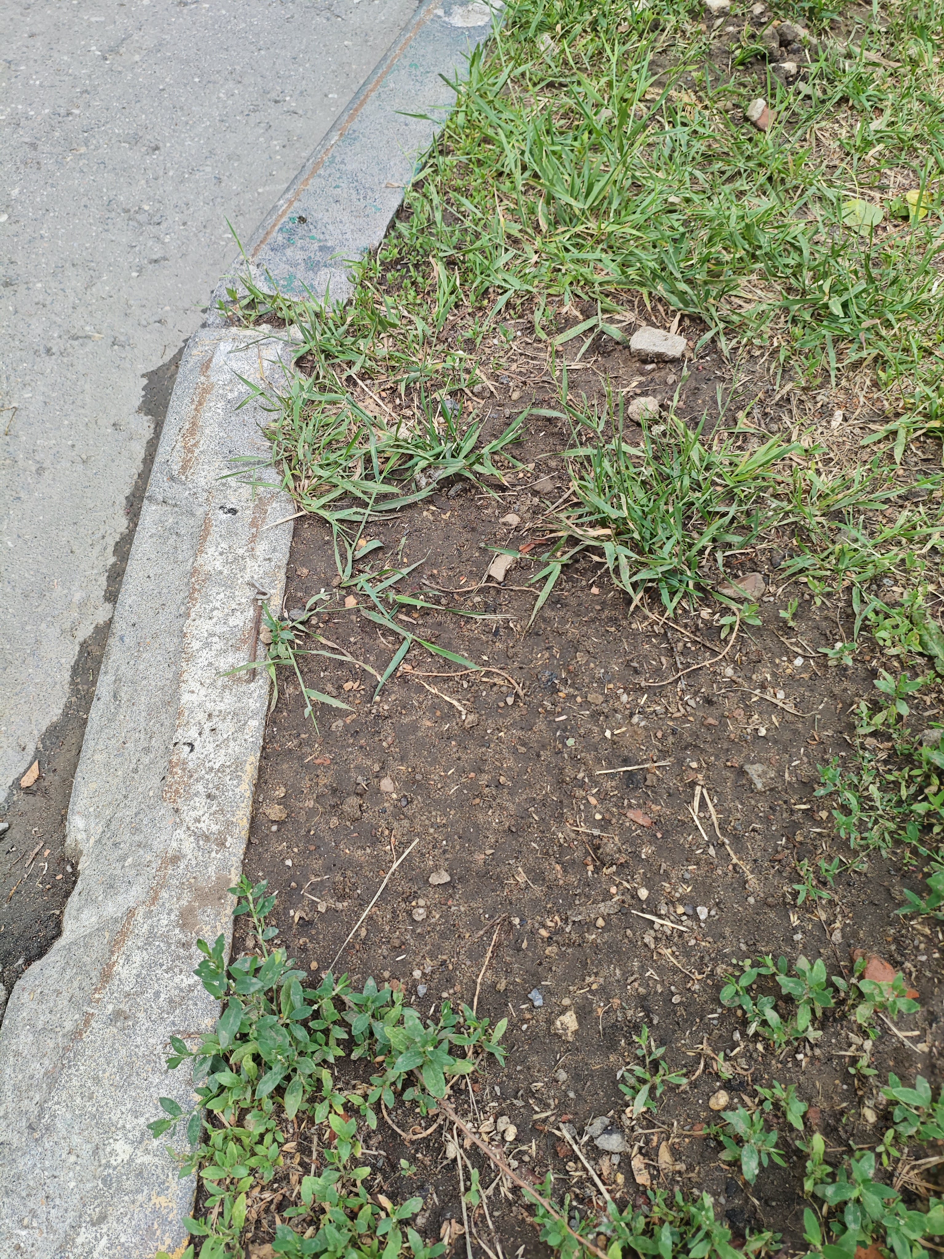 IMG_20250613_160801.jpg