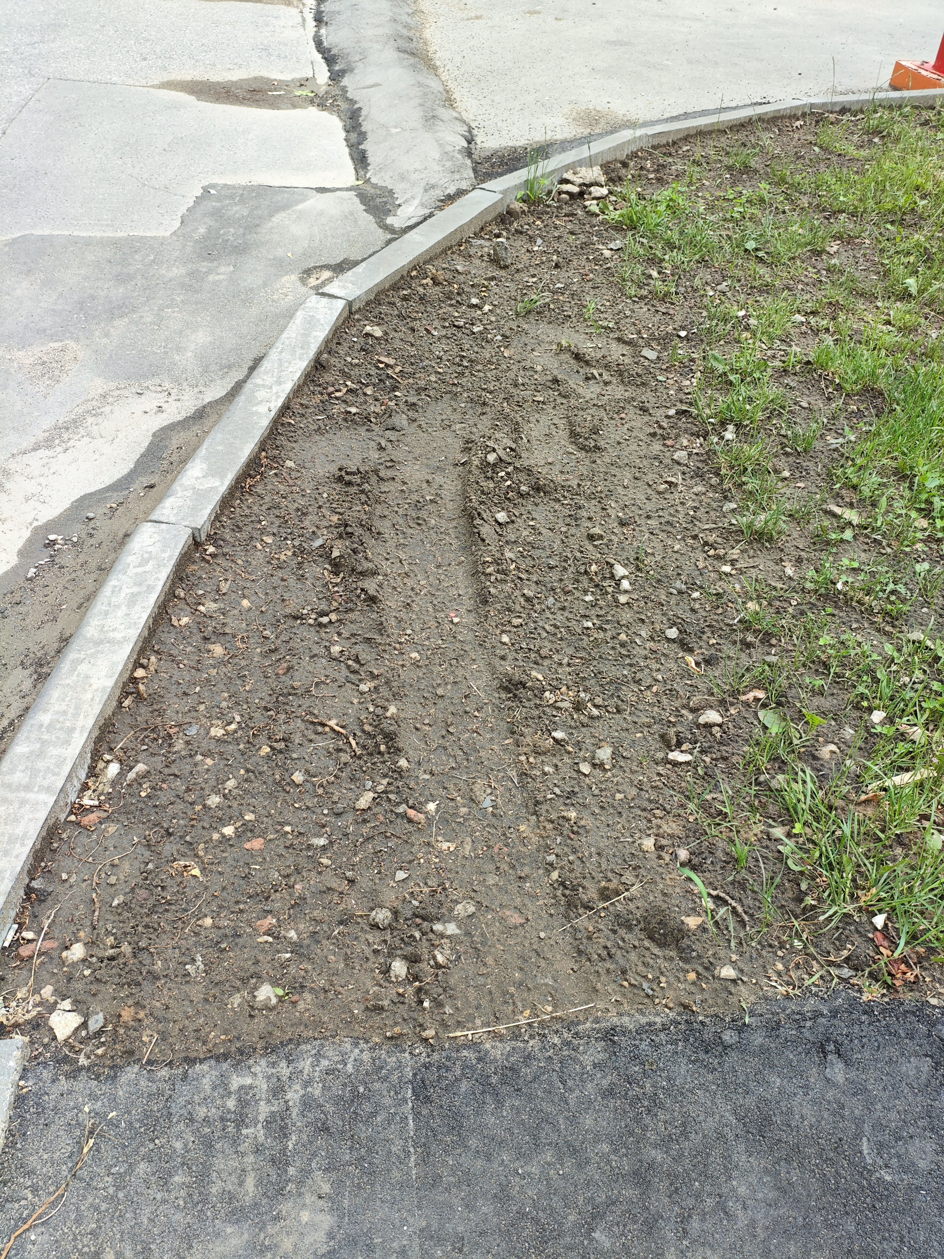 IMG_20250613_160852.jpg